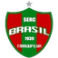 Brasil de Farroupilha (W) logo