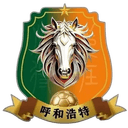 Hohhot Team logo - Team VS Hohhot Team Score Today