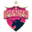 Shenzhen FC(1994-2024) logo