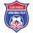Baile Felix logo