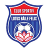 Baile Felix logo