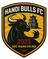 Ha Noi Bulls U21 logo
