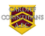 Cardiff Corinthians AFC logo
