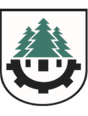 Czarni Czarna Bialostocka logo - Opalenica VS Czarni Czarna Bialostocka Result Today