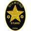 Diamond Stars logo