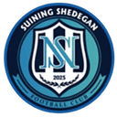 Suining Team logo - Team VS Guizhou Xufengtang Live