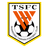 Shandong Taishan B logo