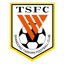 Shandong Taishan B logo