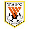 Shandong Taishan B logo