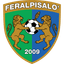 FeralpiSalo U19 logo