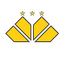 Criciuma SC Youth logo