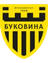 FC Bukovyna Chernivtsi U21 logo - Kryvbas U Fixtures