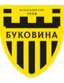 FC Bukovyna Chernivtsi U21 logo