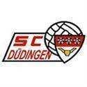 Dudingen logo