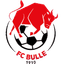 Bulle logo