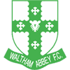 Waltham Abbey logo - Abbey VS Maldon Tiptree Live Score