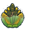 Kampong Speu Province logo
