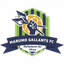 Marumo Gallants FC logo