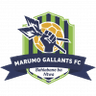 Marumo Gallants FC logo