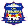 CSO Teleajenul Valeni de Munte logo