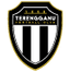 Terengganu B logo - Mas Premier League 32391 Football Score