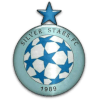 Silver Stars logo - Fc VS Silver Stars Result