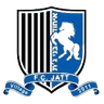 Hapoel Ihud Bnei Jatt logo