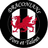 Cardiff Draconians FC logo