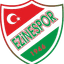 Ezinespor logo