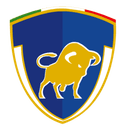 Celaya II logo - Queretaro VS Celaya Ii Result