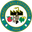 Nazillispor logo