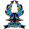 Hangzhou Linping Wuyue logo
