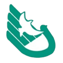 South China Normal University High School U13 logo - U VS Qingdao Hainiu Hainuo U Result