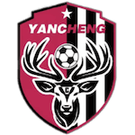 Yancheng Team logo