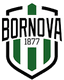 Bornova 1877 SK logo