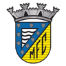 Mortagua logo
