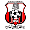 BAI Bureh Warriors logo