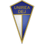 Unirea Dej logo