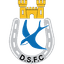 Dungannon Swifts logo
