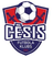 Cesis logo