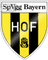 Bayern Hof logo - Ger Bundesliga 33081 Results