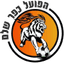 Hapoel Kfar Shalem logo