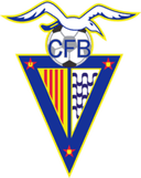 FC Badalona B (W) logo - W VS Rayo Vallecano Women Score