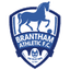 Brantham Athletic logo