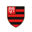 Flamengo-SP Youth logo