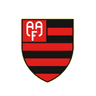 Flamengo-SP Youth logo