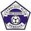 Nemsova logo