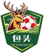 Baotou Team logo