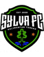 Sylva Kalteng FC logo
