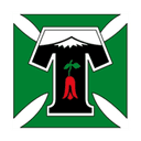 Deportes Temuco logo - Huachipato VS Deportes Temuco Score